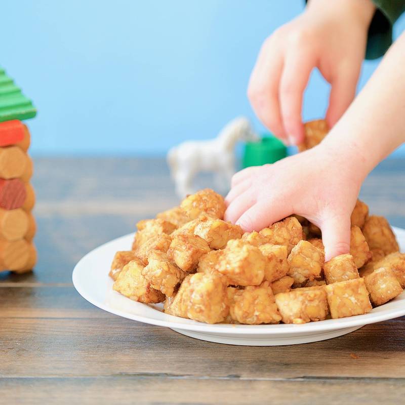 Tempeh Cubes