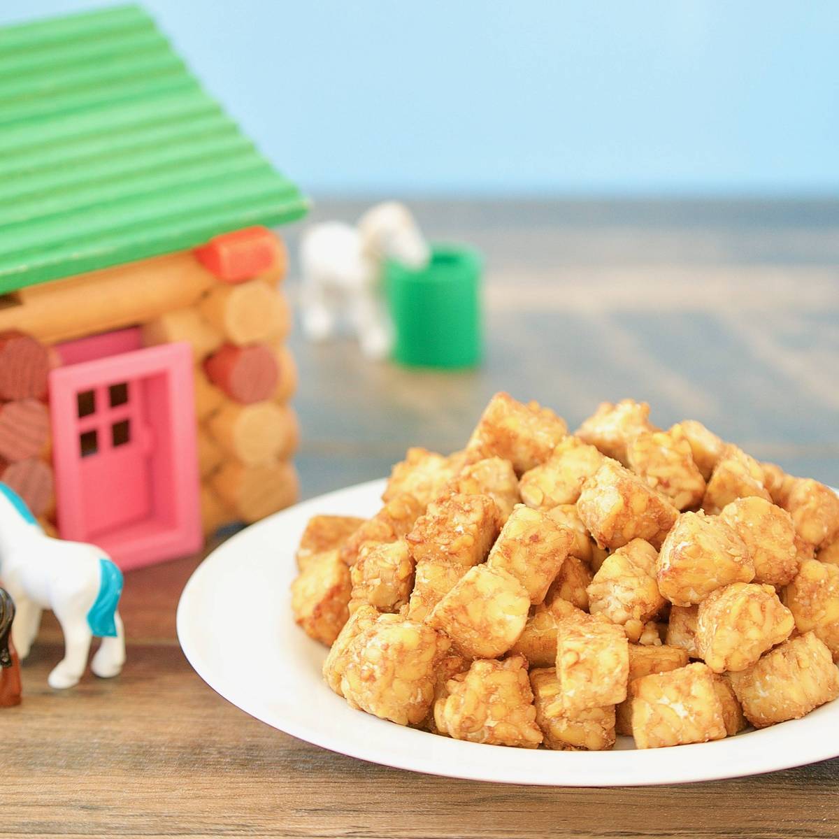 Tempeh Cubes Lively Days